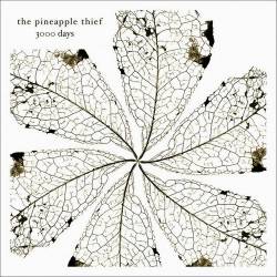 The Pineapple Thief - 3000 Days (2009) [24/48 Hi-Res]