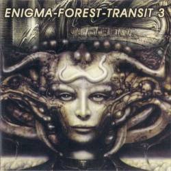 Enigma-Forest-Transit 3 (1998) OGG - Electronic, Ambient, New Age