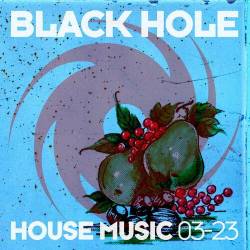 Black Hole House Music 03-23 (2023) - Electro, House