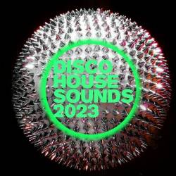 Disco House Sounds 2023 (2023) - Nu Disco, Funky, Indie Dance, Soulful