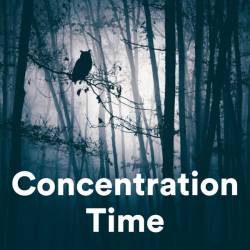 Concentration Time (2023) - Lounge