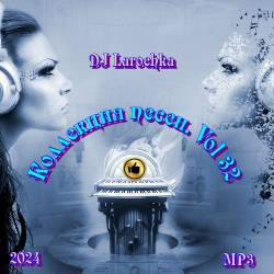 DJ Larochka.  . Vol 32 (2024) 3