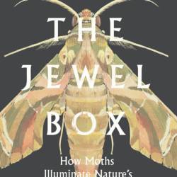 The Jewel Box: How Moths Illuminate Nature's Hidden Rules - Tim Blackburn