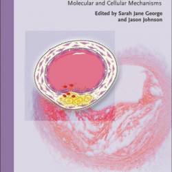 The Molecular and Cellular Basis of Neurodegenerative Diseases: Underlying Mechanisms - Michael S. Wolfe PhD