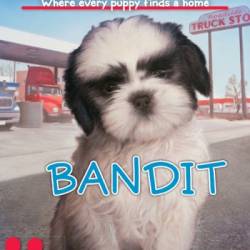 Bandit - Ellen Miles