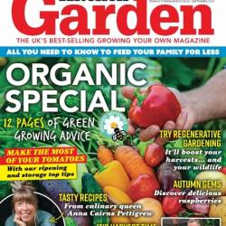 Kitchen Garden - September 2024