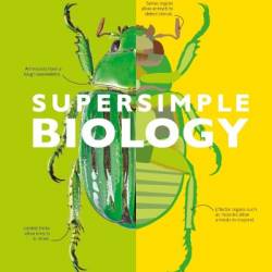 SuperSimple Chemistry: The Ultimate Bitesize Study Guide - DK