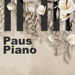 Paus Piano (2024) - Classical, Piano