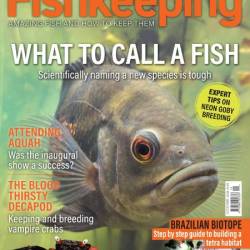 Practical Fishkeeping - December 2024