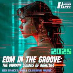 EDM In The Groove: Edition 02 (2025)