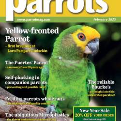 Parrots - February 2025