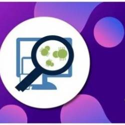 Vulnerability Management: Build Strong Cybersecurity Defense