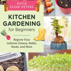 Kitchen Gardening for Beginners  - Katie Elzer-Peters