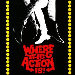 Where the Action Is! Los Angeles Nuggets 1965-1968 (4CD) (2009) FLAC - Garage Rock, Psychedelic Rock, Classic Rock, Folk Rock, Pop Rock