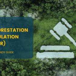 Understanding Of Eu Deforestation Regulation