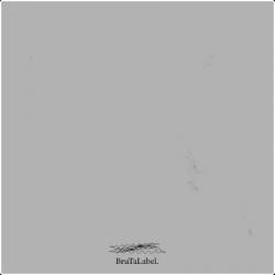 Brutalabel  - Brutalabel  03 (2025 Alternativa e indie) [Flac 16-44]