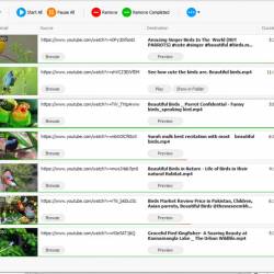 Any Video Downloader Pro 10.0.3 (x64)
