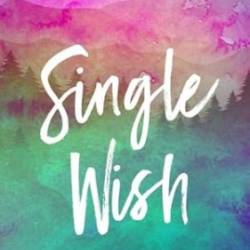 Single Wish - Amy Knupp