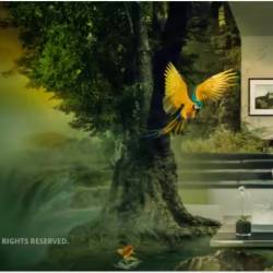 Blackmagic Design Fusion Studio 20.3.1 (x64) Multilingual