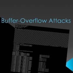 Buffer/Stack Overflow       (2014)