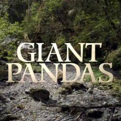 National Geographic:   / Giant Pandas (2013) HDTVRip