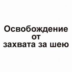 Алгоритмы защиты .Защита от захвата за шею (2014)