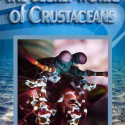    / The Secret World of Crustaceans (2013) SATRip