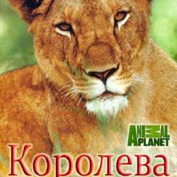   / The Lion Queen (2015) HDTVRip -  2