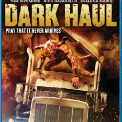 Ҹ  / Dark Haul (2014) BDRip