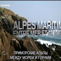  .     / Alpes-Maritimes, entre mer et montagn (2015) DVB