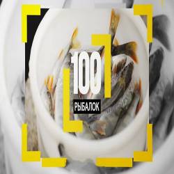 "100 "    (2015) WEBRip