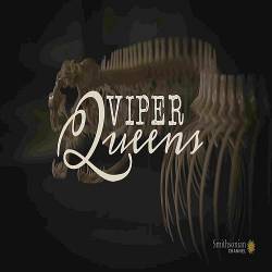   / Viper Queens (2016) SATRip