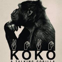 . ,    / Koko: The Gorilla Who Talks to People (2016) WEBRip (720p)
