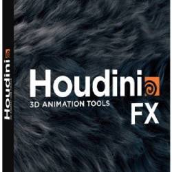 SideFX Houdini FX 16.5.536