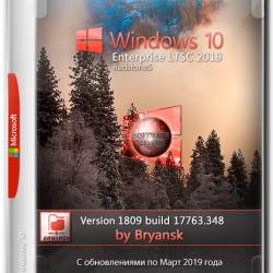 Windows 10 Enterprise LTSC x64 1809.17763.348 Bryansk (RUS/2019)