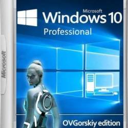 Windows 10 Professional VL 1809 RS5  02.2019 (x86/x64/RUS)