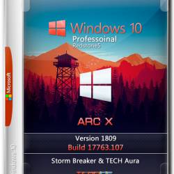 Windows 10 Pro x64 1809 ARC X by Storm Breaker & TECH Aura (ENG+RUS+GER/2019)