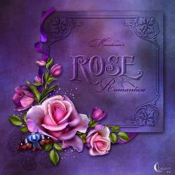 Moonbeams Rose Romantica