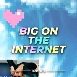 VA - Big On The Internet (2022)