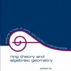 Ring Theory And Algebraic Geometry / Edition 1 - A. Granja