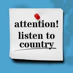 Attention! Listen to Country (2024) FLAC - Country, Blues, Folk