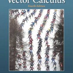 Calculus with Vectors - Jay S. Treiman