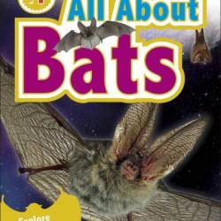 All About Bats: Explore the World of Bats! - Caryn Jenner