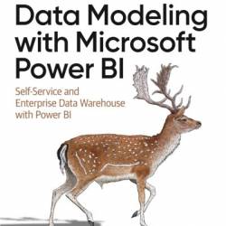 Data Modeling with Microsoft Power BI: Self-Service and Enterprise Data Warehouse with Power BI - Markus Ehrenmueller-Jensen