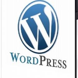   WordPress    .     (2024) WEBRip