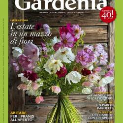 Gardenia (Agosto 2024)