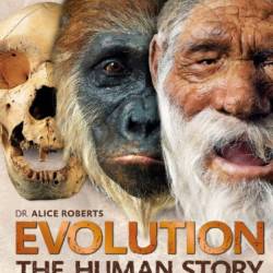 The Tale of the Dueling Neurosurgeons: The History of the Human Brain as Revealed by True Stories of Trauma, Madness, and Recovery - Alice Roberts