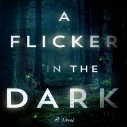 A Flicker in the Dark - Stacy Willingham