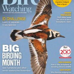 Bird Watching UK - November 2024