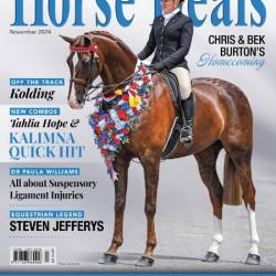 Horse Deals - November 2024